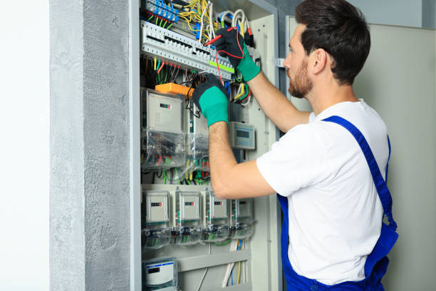 Best Electrical System Inspection  in Merrillville, IN